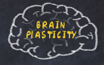 The Science of Neuroplasticity: How to Train Your Brain for Better Health